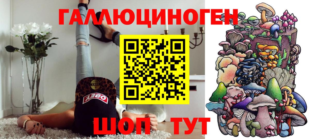 Псилоцибиновые грибы Cubensis Фрязино